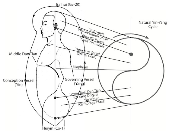 Taiji Ball Qigong - Theory of Physical Conditioning